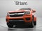 2019 Chevrolet Colorado 4WD Work Truck