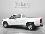 2019 Chevrolet Colorado 4WD Work Truck