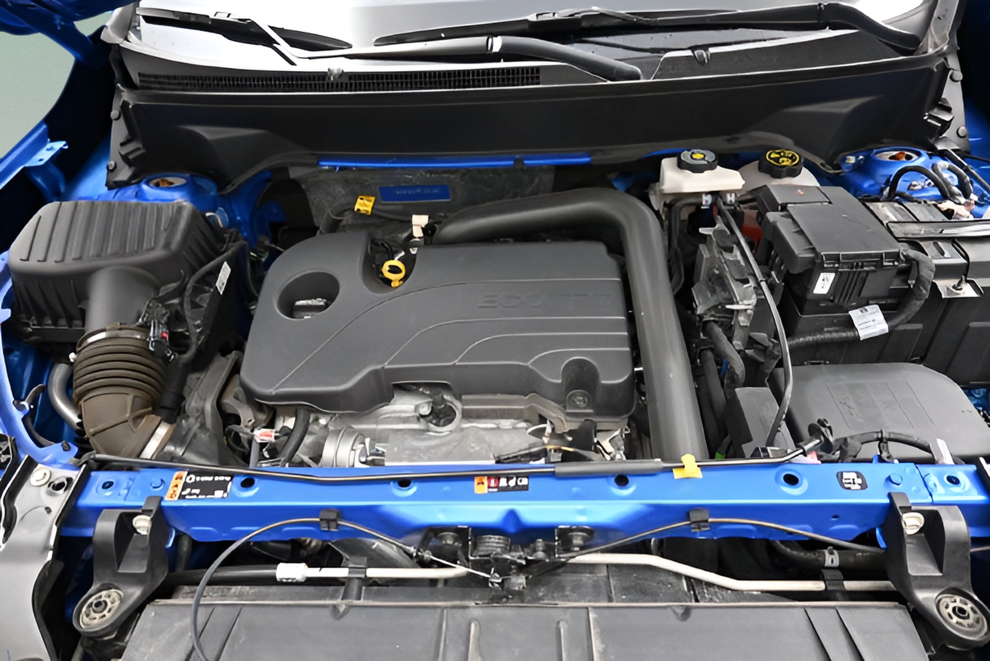 Photo 61