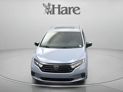 2023 Honda Odyssey Sport