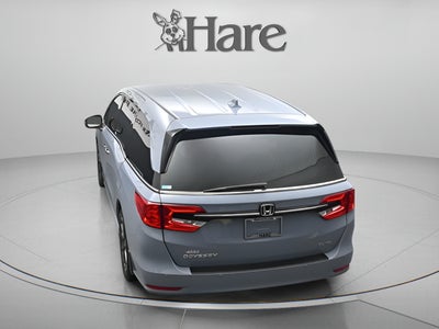 2023 Honda Odyssey Elite
