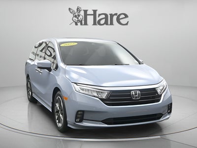 2023 Honda Odyssey Elite
