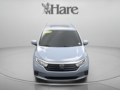 2023 Honda Odyssey Elite