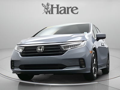 2023 Honda Odyssey Elite