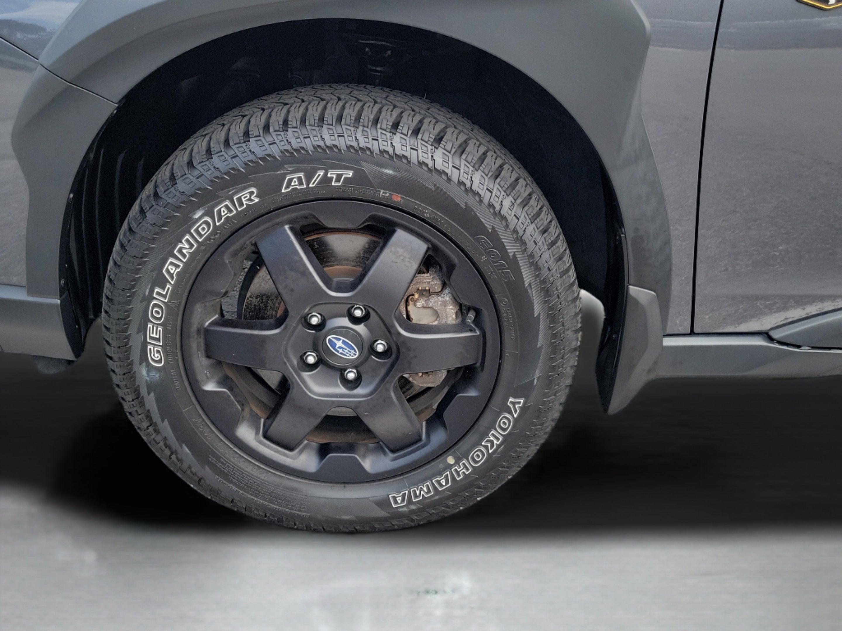 2025 Subaru Outback Wilderness