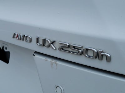 2023 Lexus UX UX 250h F SPORT Handling