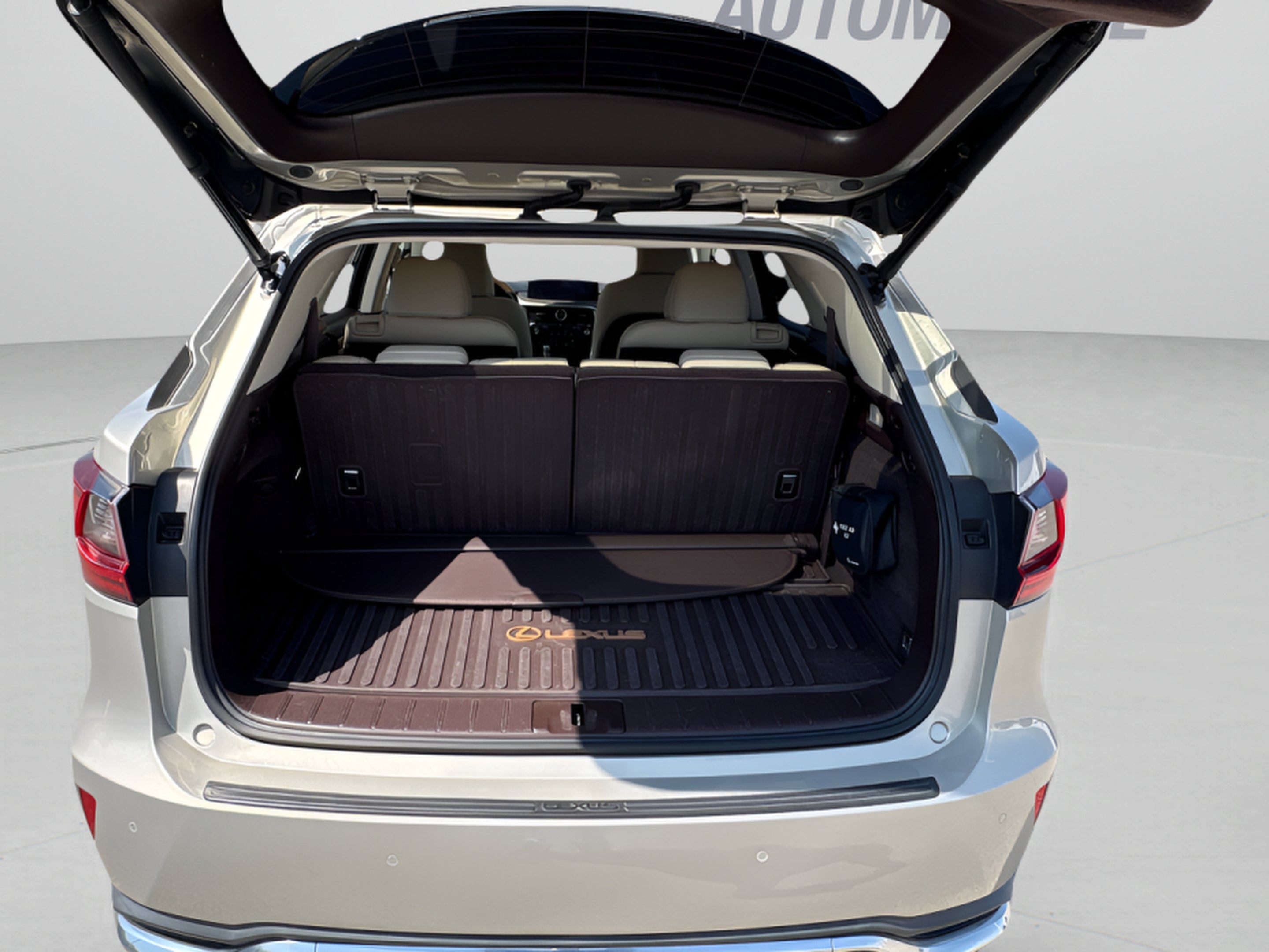 2020 Lexus RX RX 350L