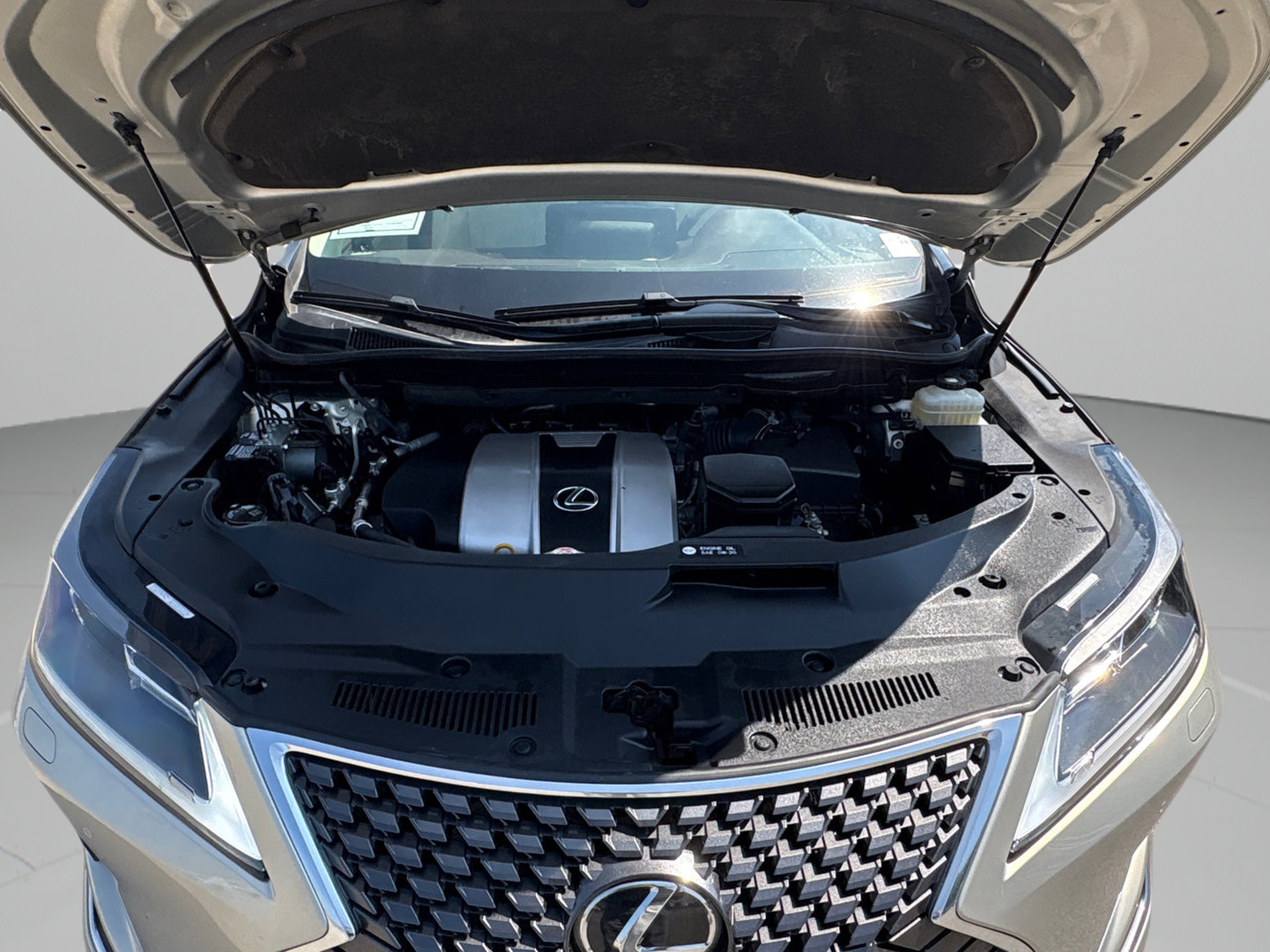 2020 Lexus RX RX 350L