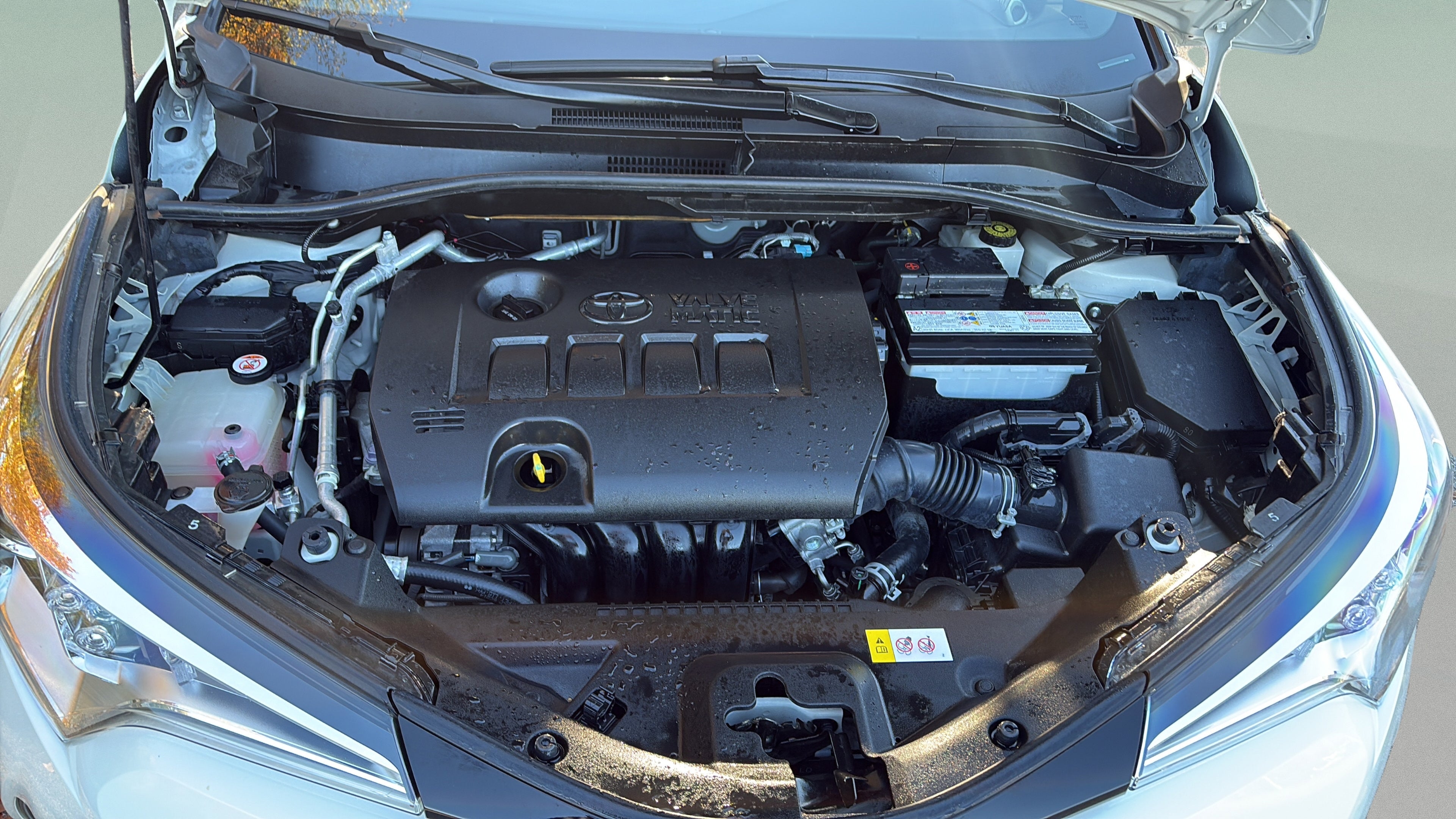 2019 Toyota C-HR XLE