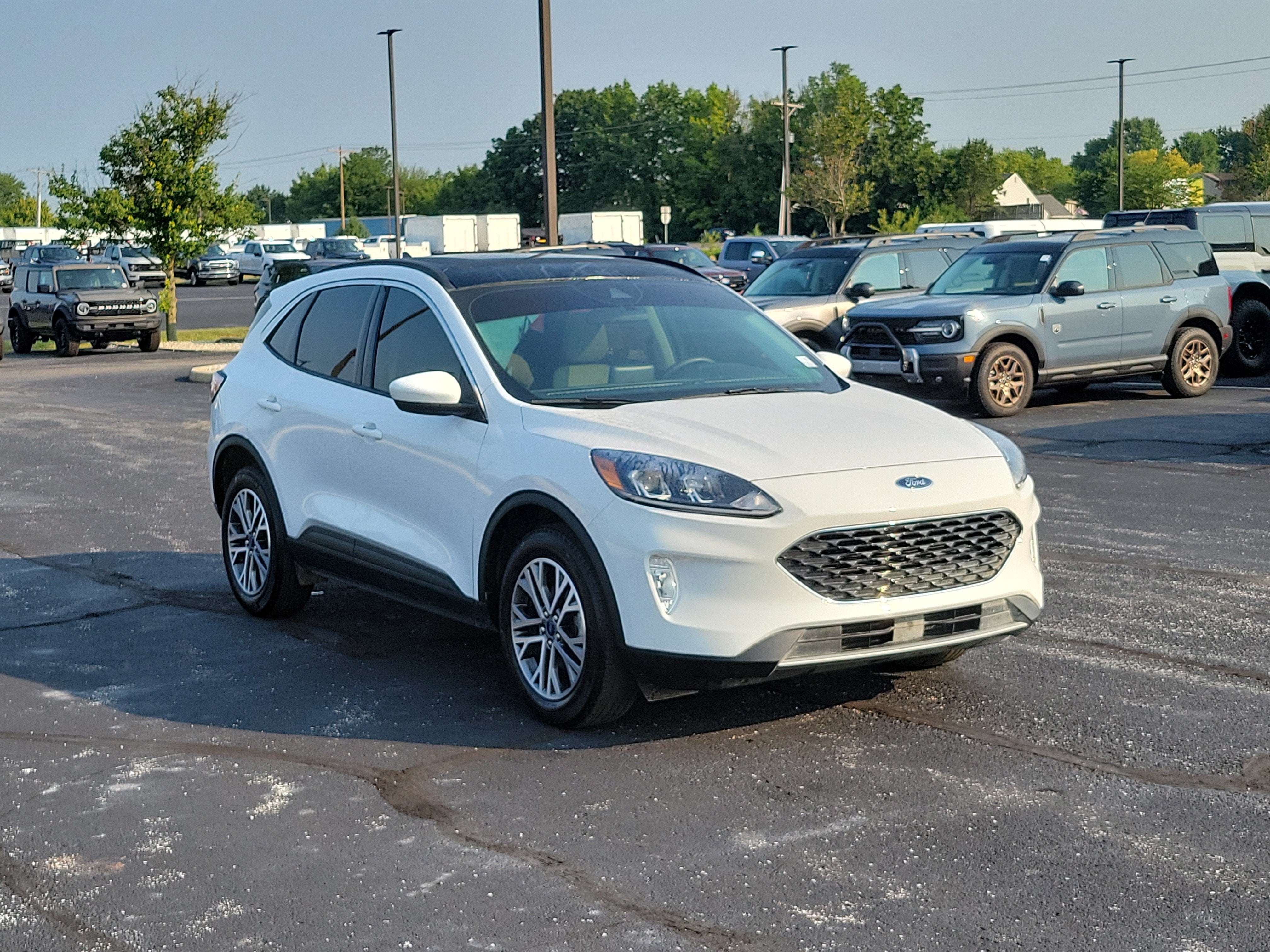 2022 Ford Escape SEL