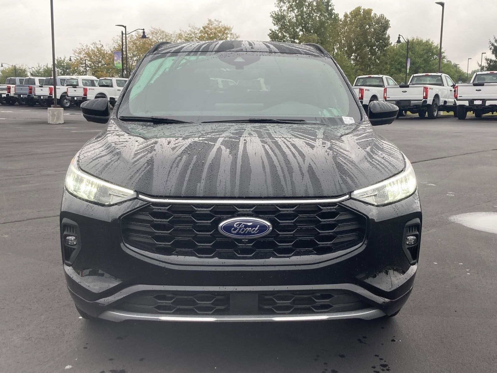 2024 Ford Escape ST-Line Select
