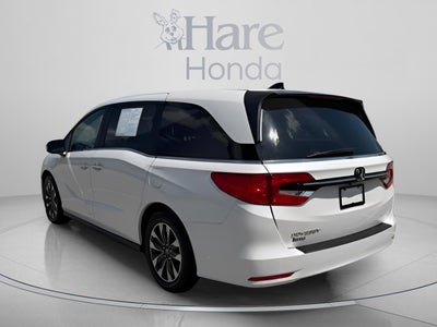 2024 Honda Odyssey EX-L