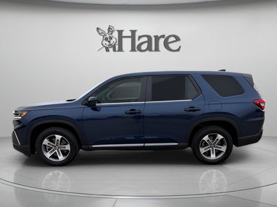 2024 Honda Pilot EX-L 8 Passenger